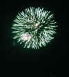 GreenWithWhite.jpg (62646 bytes)