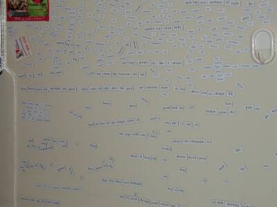 FridgeTop.jpg (152868 bytes)
