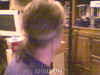 MightyBeforePonytail.jpg (79642 bytes)