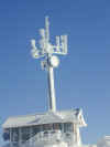SnowEncrustedZoom.jpg (35060 bytes)